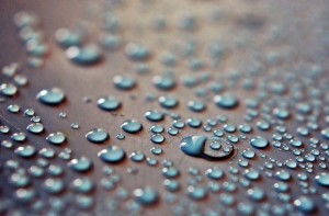 liquid droplets