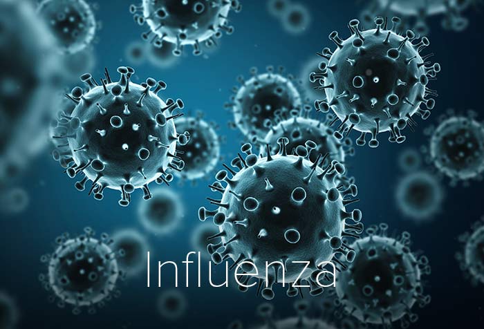Influenza Biodecontamination and Sterilization in Life Science Facilities